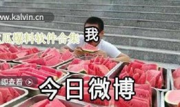 吃瓜网官网免费观看 吃瓜群众在线爆料免费观看,揭秘吃瓜群众在线爆料盛宴