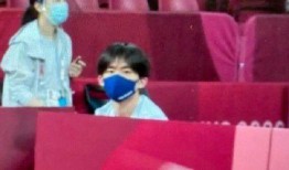 体育明星饭圈化 娱乐简短新闻,娱乐新趋势下的粉丝经济崛起